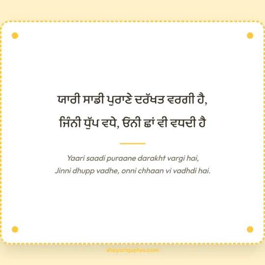 Punjabi Shayari photo: Yaari saadi puraane darakht vargi hai