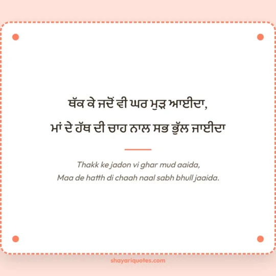 Punjabi Shayari photo: Thakk ke jadon vi ghar mud aaida