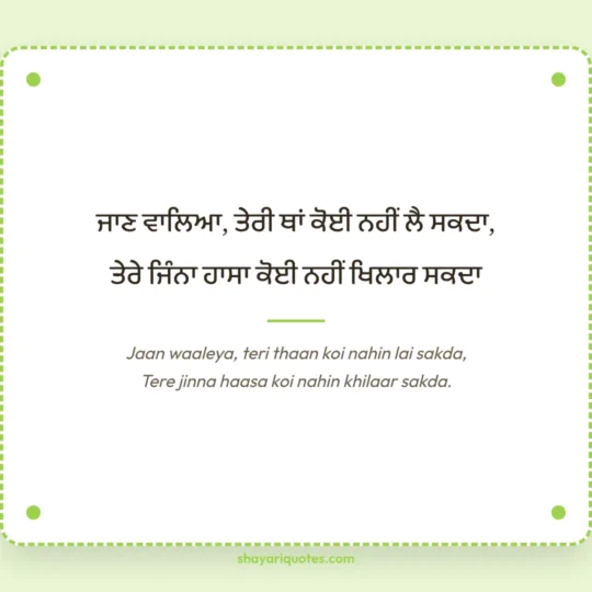 Punjabi Shayari photo: Jaan waaleya, teri thaan koi nahin lai sakda